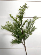 Load image into Gallery viewer, CYPRESS | STEM L