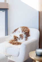 Load image into Gallery viewer, Brown Spotted Icelandic Sheepskin | Random