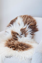 Load image into Gallery viewer, Brown Spotted Icelandic Sheepskin | Random