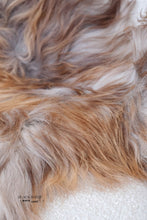 Load image into Gallery viewer, Rare Rusty Grey Icelandic Sheepskin