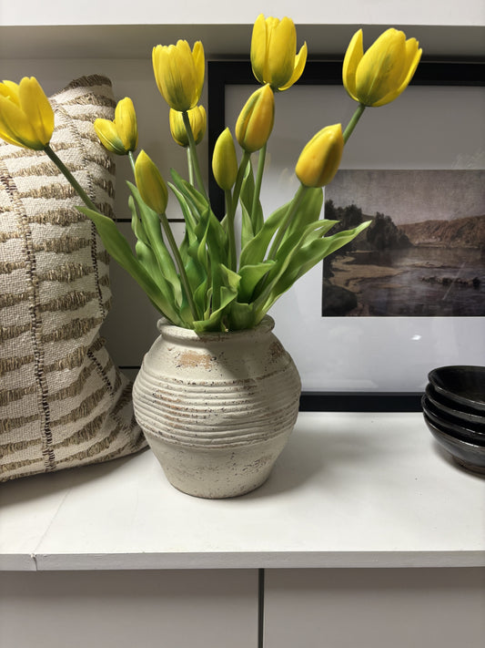 TULIPS | YELLOW