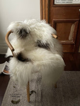 Load image into Gallery viewer, Spotted Icelandic Sheepskin | Minimal