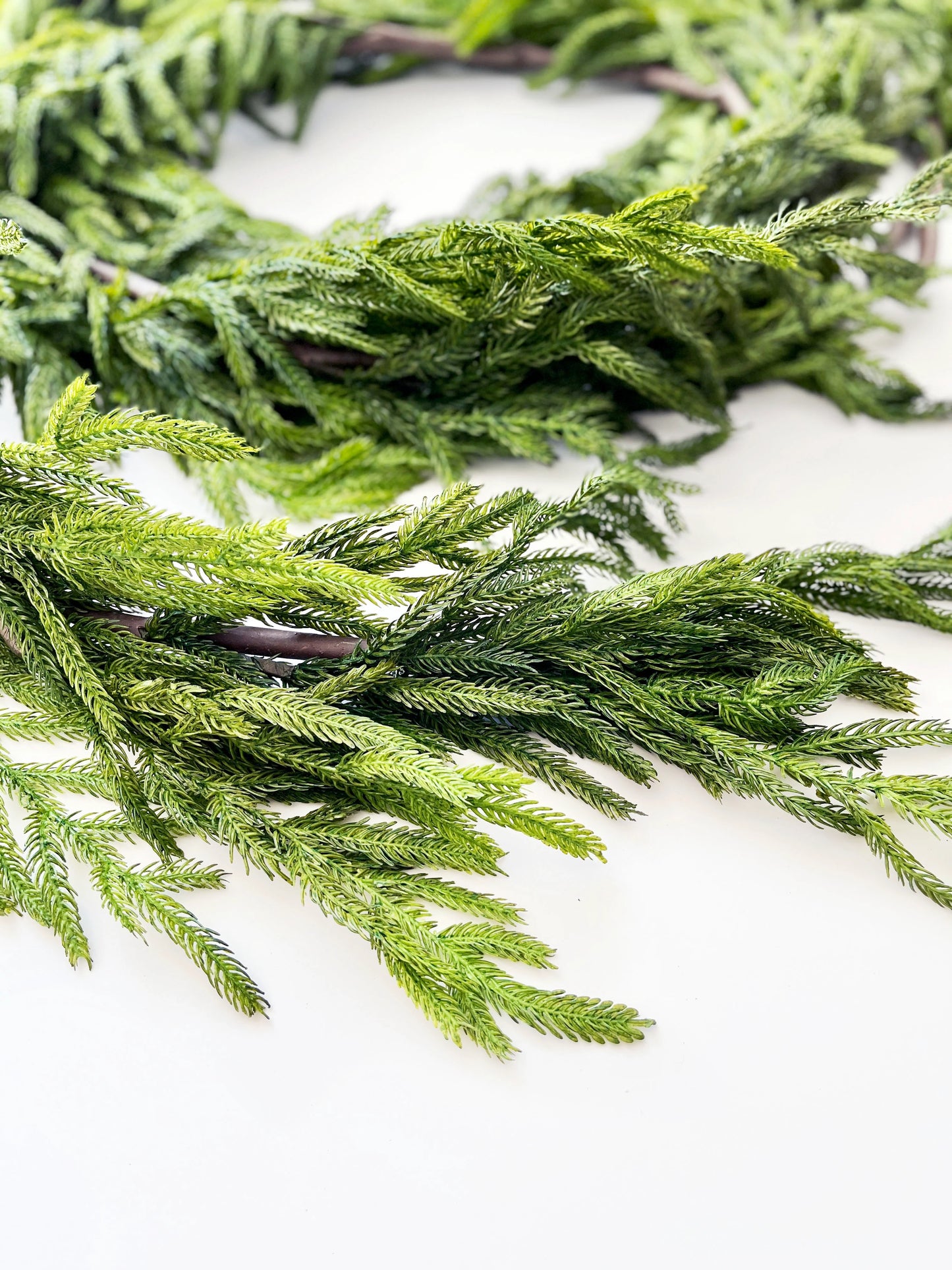 NORFOLK PINE GARLAND
