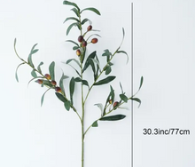 Load image into Gallery viewer, OLIVE LEAF | STEM