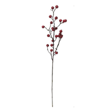 Load image into Gallery viewer, Berry | Stem