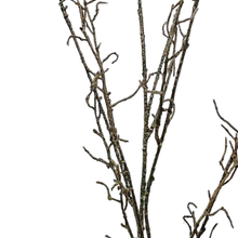 Load image into Gallery viewer, BRANCH | STEM