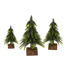 Load image into Gallery viewer, GREEN FIR TREE | LOG