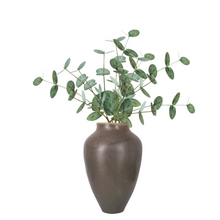 Load image into Gallery viewer, EUCALYPTUS | STEM