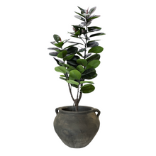 Load image into Gallery viewer, RUBBER | TREE