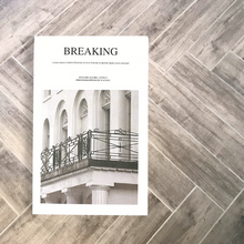 Load image into Gallery viewer, STYLING BOOK | BREAKING S
