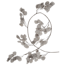 Load image into Gallery viewer, EUCALYPTUS SILVER DOLLAR | 6FT