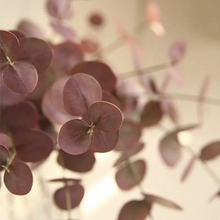 Load image into Gallery viewer, EUCALYPTUS | BURGUNDY