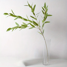 Load image into Gallery viewer, EUCALYPTUS WILL | BRANCH