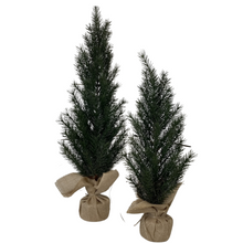 Load image into Gallery viewer, NORDIC | TREE