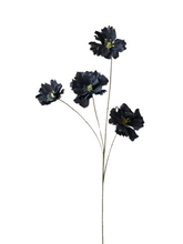 Load image into Gallery viewer, COSMO | BLACK