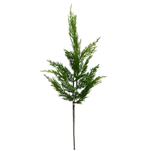 Load image into Gallery viewer, CEDAR WHISP | STEM M