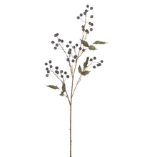 Load image into Gallery viewer, Vine Berry | Dark