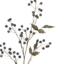 Load image into Gallery viewer, Vine Berry | Dark