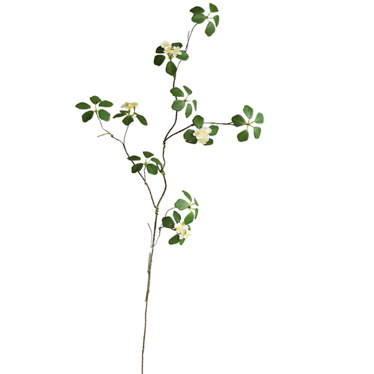 Delicate Blossom | Stem