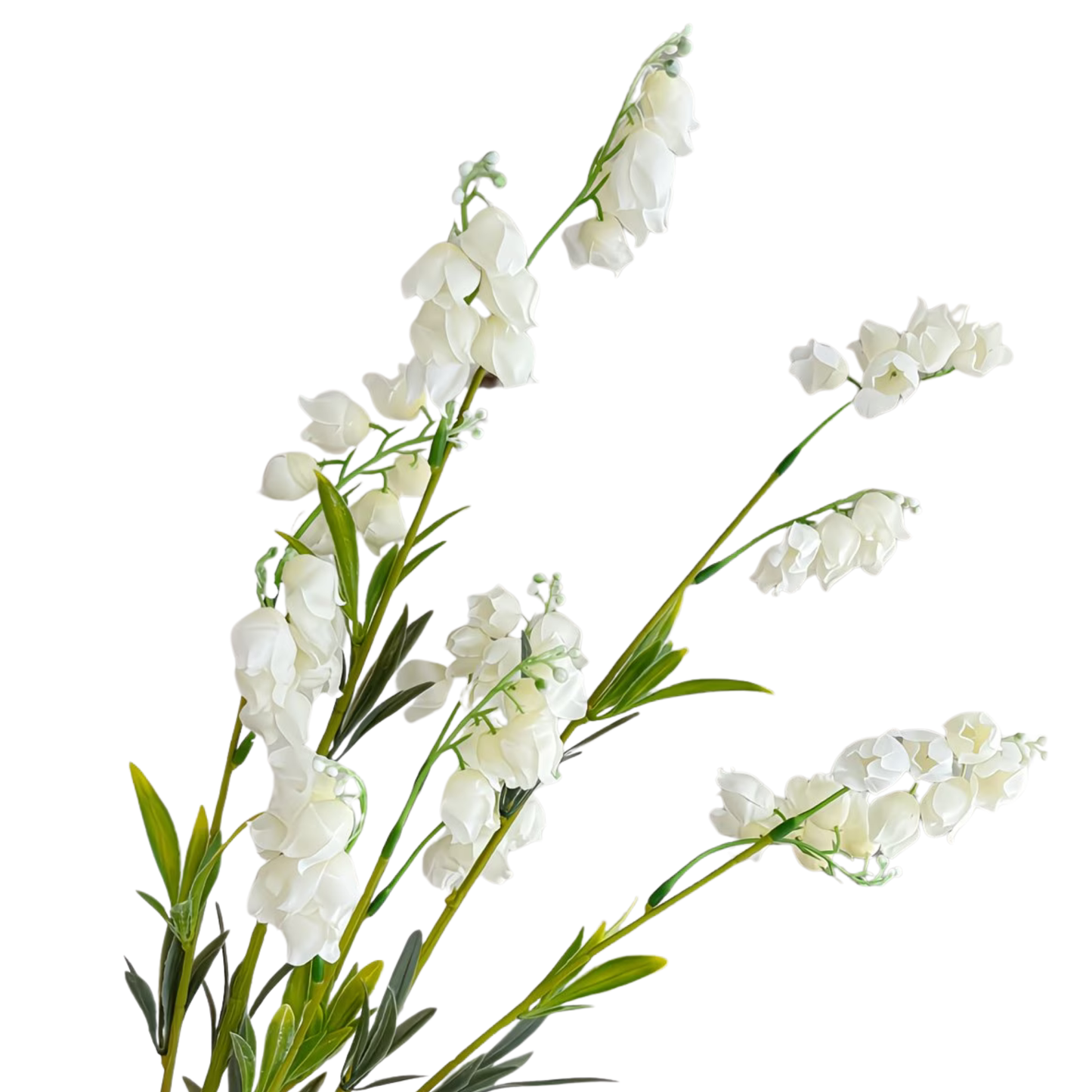 Lily of the Valley | Stem