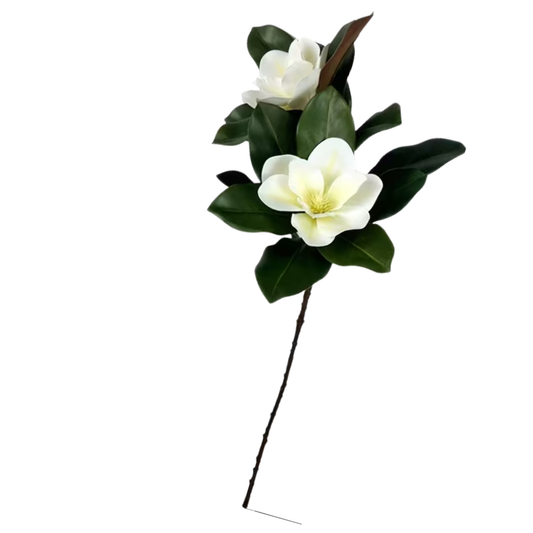 MAGNOLIA | STEM
