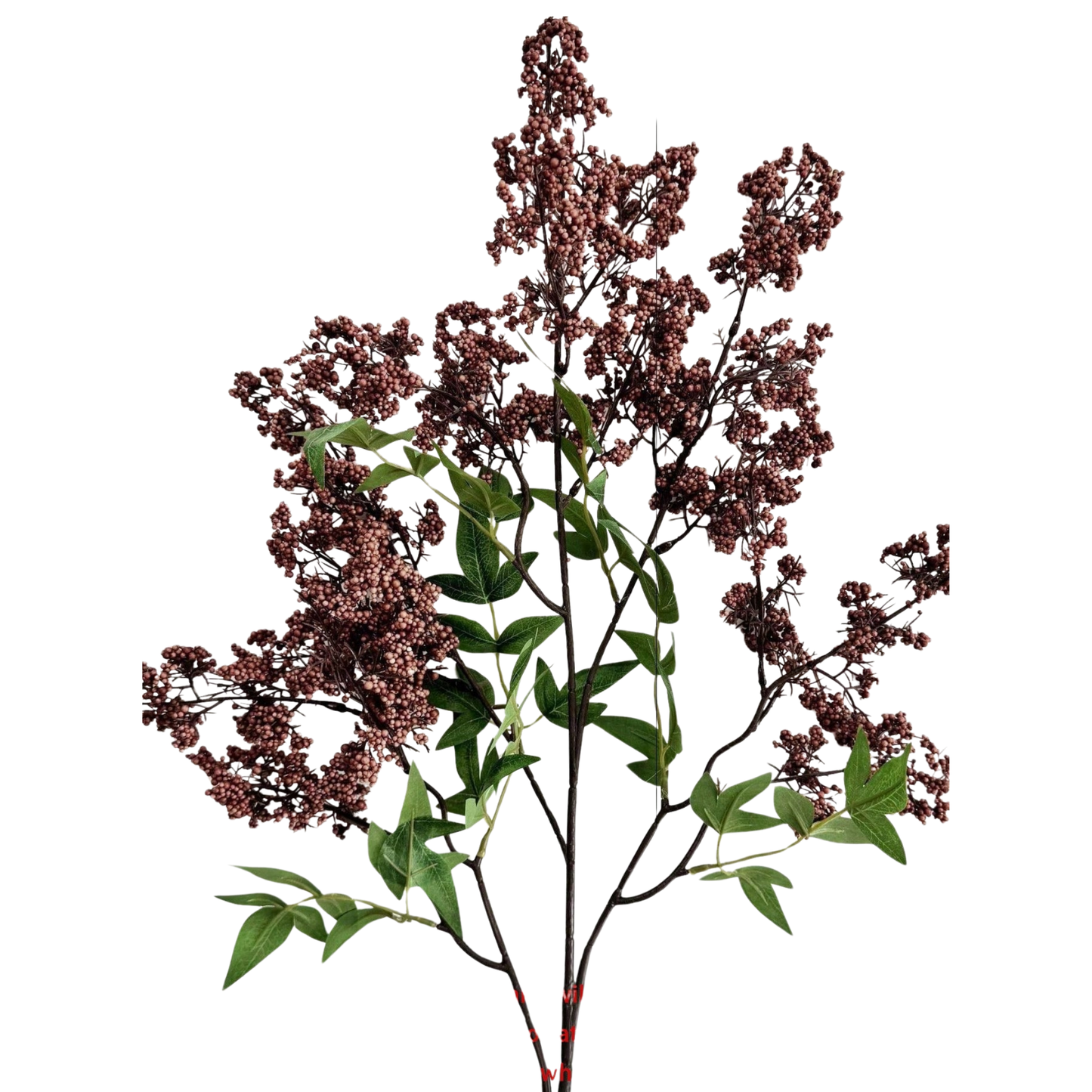 Seeded Spray | Deep Plum