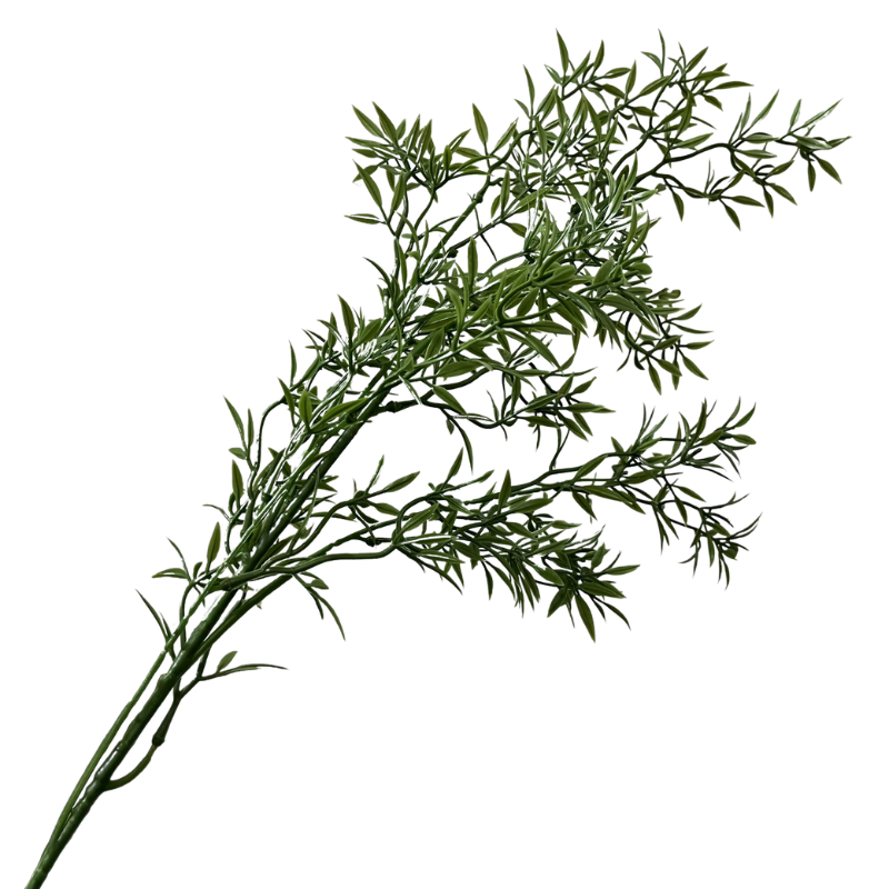 Willow Leaf Stem