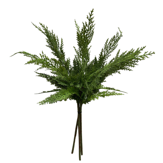 CYPRESS | STEM