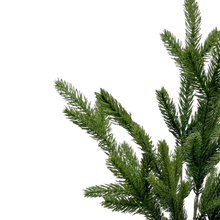 Load image into Gallery viewer, SPRUCE | STEM M