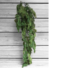 Load image into Gallery viewer, CEDAR | 3FT