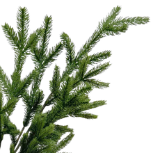 Load image into Gallery viewer, SPRUCE | BUNDLE