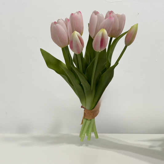 TULIPS | BLUSH