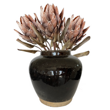 Load image into Gallery viewer, PROTEA | COFFEE