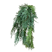 Load image into Gallery viewer, WHITE CEDAR | HANGING BUNCH
