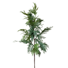 Load image into Gallery viewer, WHITE CEDAR | BRANCH