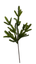 Load image into Gallery viewer, GREEN SPRUCE | STEM L