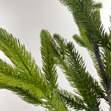 Load image into Gallery viewer, GREEN SPRUCE | STEM L