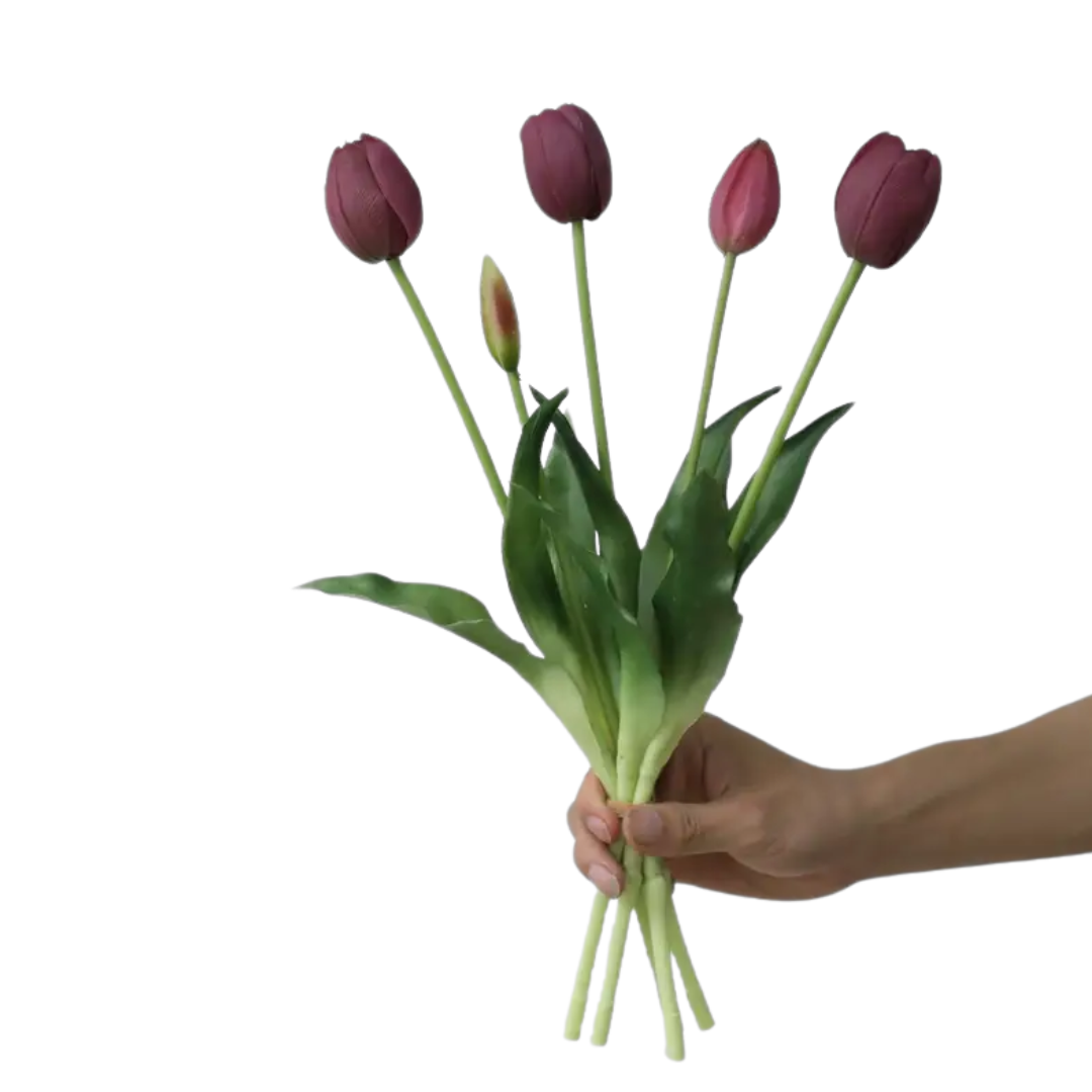 TULIPS | PLUM