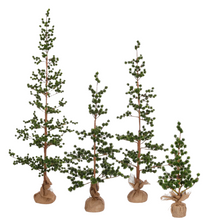 Load image into Gallery viewer, NORDIC | TREE