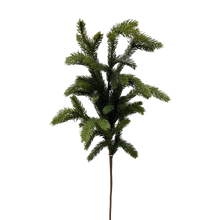Load image into Gallery viewer, SPRUCE | BRANCH
