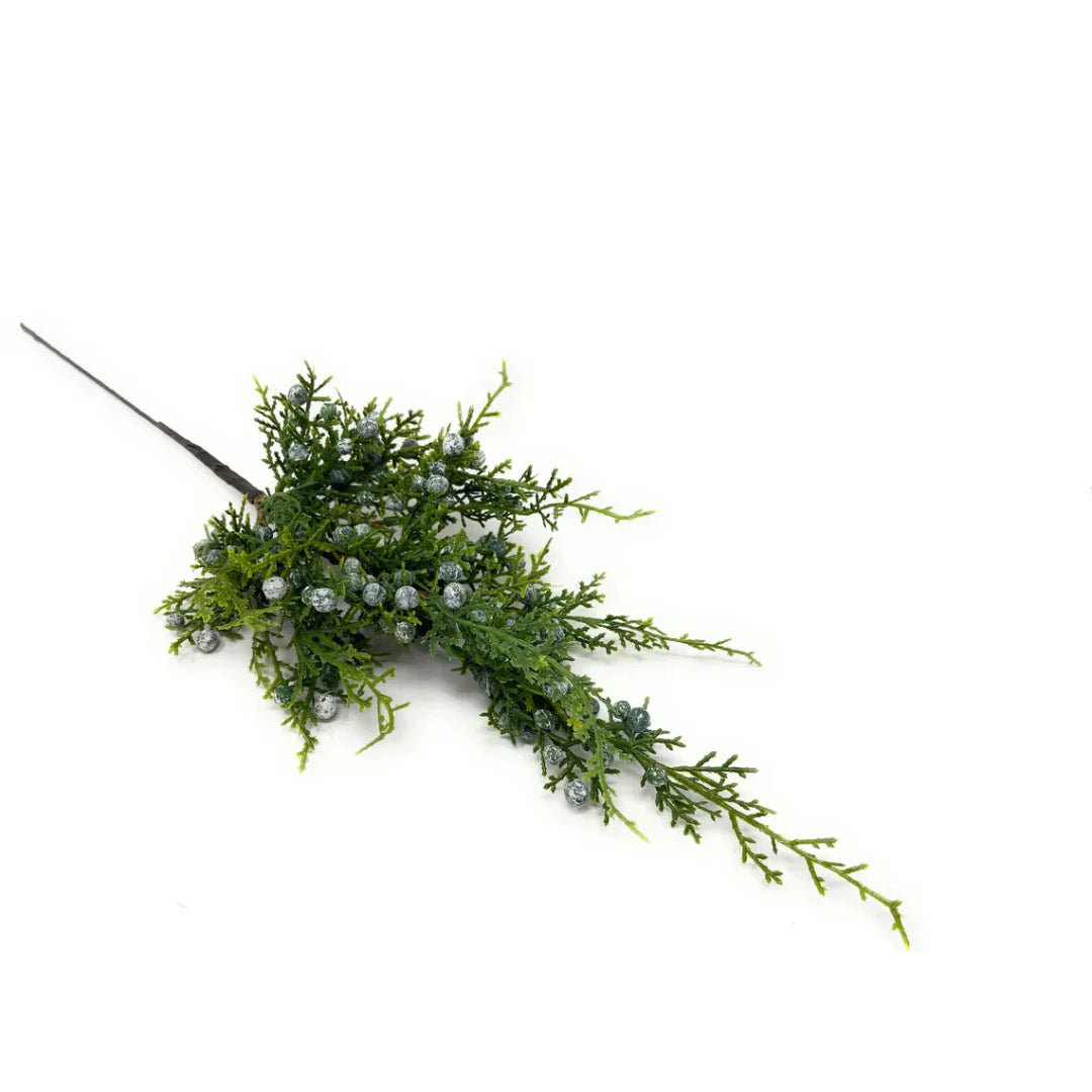 JUNIPER BERRY | STEM