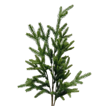 Load image into Gallery viewer, SPRUCE | BRANCH