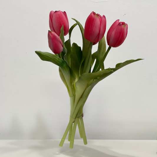 TULIPS | ROSE PINK