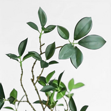 Load image into Gallery viewer, GREEN LEAF | BRANCH