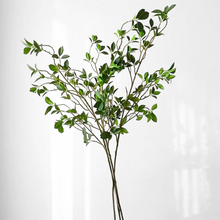 Load image into Gallery viewer, GREEN LEAF | BRANCH