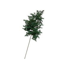 Load image into Gallery viewer, CEDAR | BRANCH