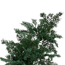 Load image into Gallery viewer, CEDAR | BRANCH