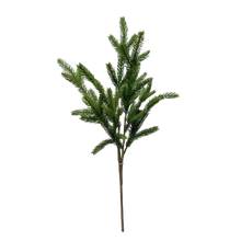 Load image into Gallery viewer, SPRUCE | STEM M