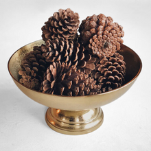 Load image into Gallery viewer, LARGE PINE CONE