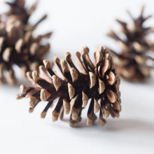 Load image into Gallery viewer, LARGE PINE CONE